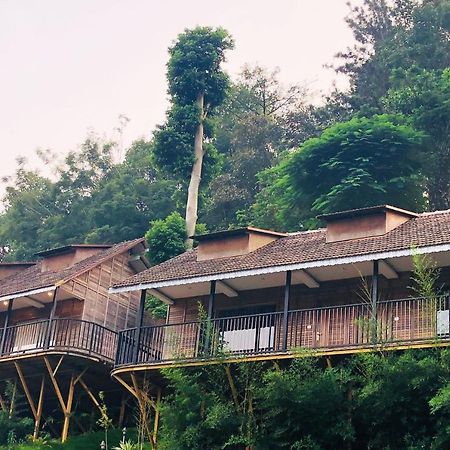 Dream Coconut Villa Resort Муннар Екстер'єр фото